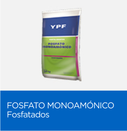 Representantes de semillas Don Mario